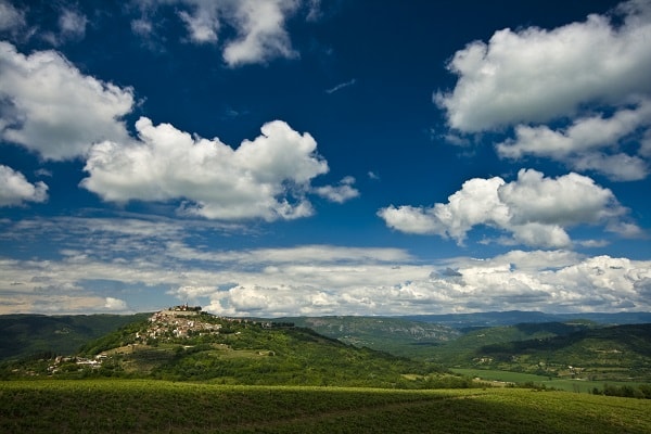 Motovun bos, Kroatië