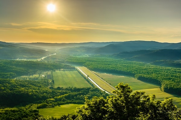 Motovun bos, Kroatië