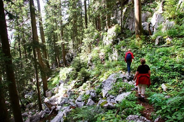 Nationaal park Risnjak - Kroatië