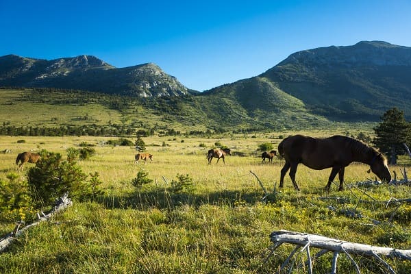 Natuurpark Velebit, Kroatië