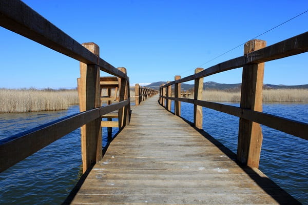 Natuurpark Vransko-meer, Kroatië
