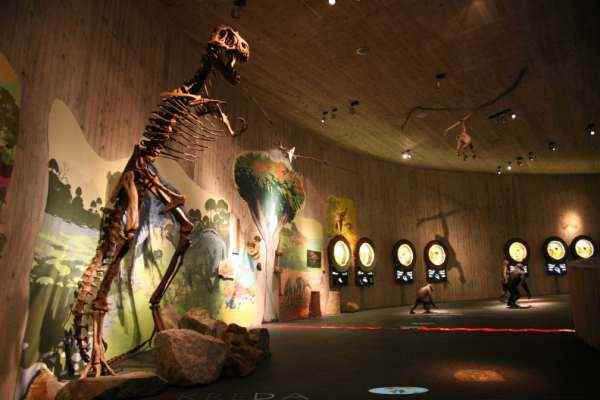 Museum van Krapina Neanderthalers, Kroatië