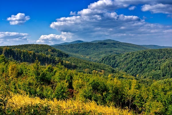 Natuurpark Papuk, Kroatië