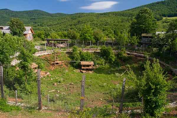 Toevluchtsoord voor beren Kuterevo, Kroatië